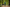 AI generated image of a mature woman power walking in a park like setting for health